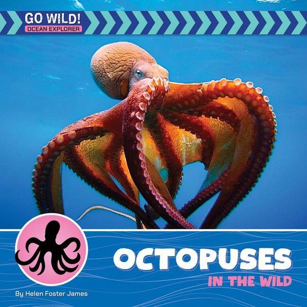 Produktbild: Octopuses in the Wild