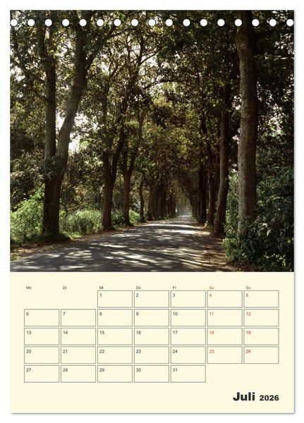 Produktbild: Usedom (Tischkalender 2026 DIN A5 hoch), CALVENDO Monatskalender
