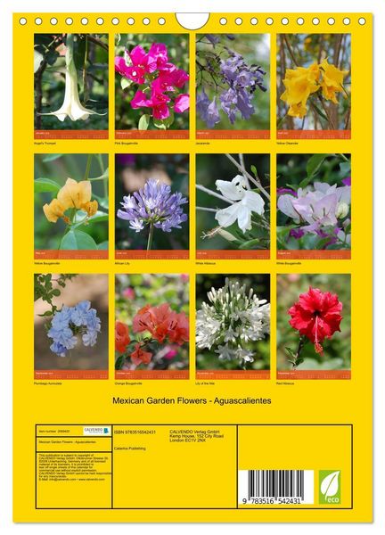 Produktbild: Mexican Garden Flowers - Aguascalientes (Wall Calendar 2026 DIN A4 portrait), CALVENDO 12 Month Wall Calendar