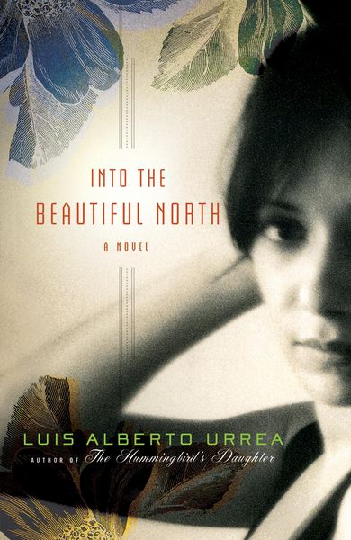 Produktbild: Into the Beautiful North