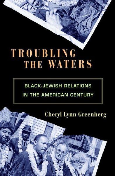 Produktbild: Troubling the Waters