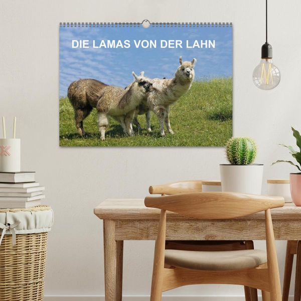 Produktbild: DIE LAMAS VON DER LAHN (Wandkalender 2026 DIN A3 quer), CALVENDO Monatskalender