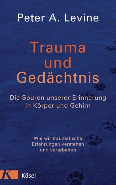 Produktbild: Trauma und Ged&auml;chtnis