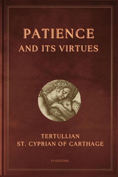 Produktbild: Patience and its virtues