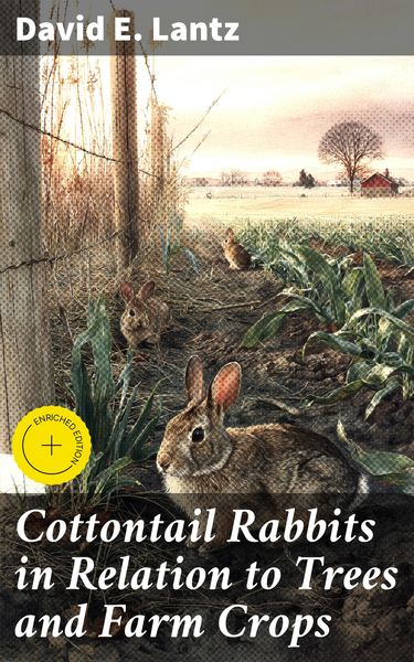 Produktbild: Cottontail Rabbits in Relation to Trees and Farm Crops