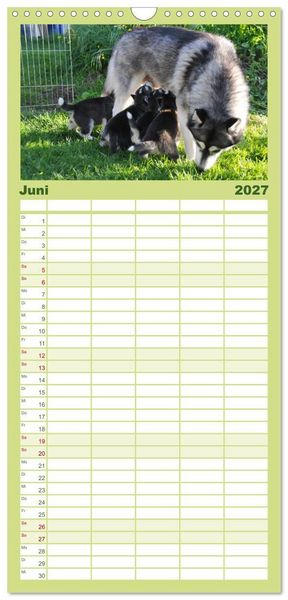 Produktbild: Familienplaner 2027 - Huskys - Traumhunde mit 5 Spalten (Wandkalender, 21 x 45 cm) CALVENDO