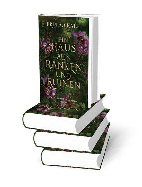 Produktbild: Ein Haus aus Ranken und Ruinen