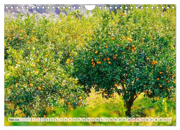 Produktbild: Immer wieder Mallorca (Wandkalender 2026 DIN A4 quer), CALVENDO Monatskalender