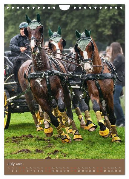 Produktbild: Carriage Driving - Horses in Action (Wall Calendar 2026 DIN A4 portrait), CALVENDO 12 Month Wall Calendar