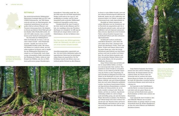 Produktbild: Unsere W&auml;lder
