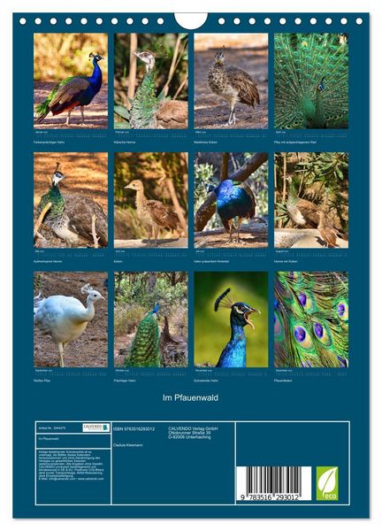 Produktbild: Im Pfauenwald (Wandkalender 2026 DIN A4 hoch), CALVENDO Monatskalender