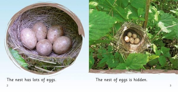 Produktbild: NESTS