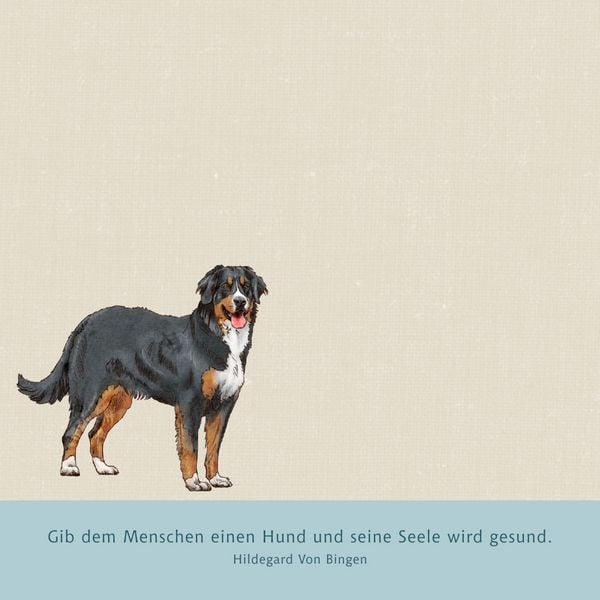 Produktbild: Zettelk&auml;stchen &ndash; I love dogs