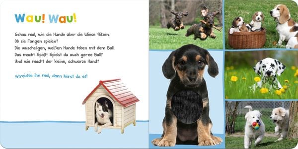 Hör mal rein, wer kann das sein? – Lieblingstiere