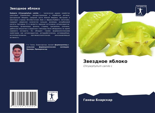 Produktbild: Zwezdnoe qbloko
