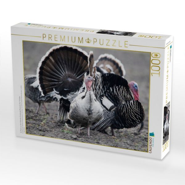 Produktbild: CALVENDO Puzzle Ein Motiv aus dem Kalender Emotionale Momente: Der Truthahn. | 1000 Teile Lege-Gr&ouml;&szlig;e 64x48cm Foto-Puzzle f&uuml;r gl&uuml;ckliche Stunden