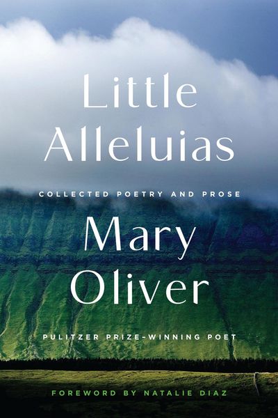 Produktbild: Little Alleluias