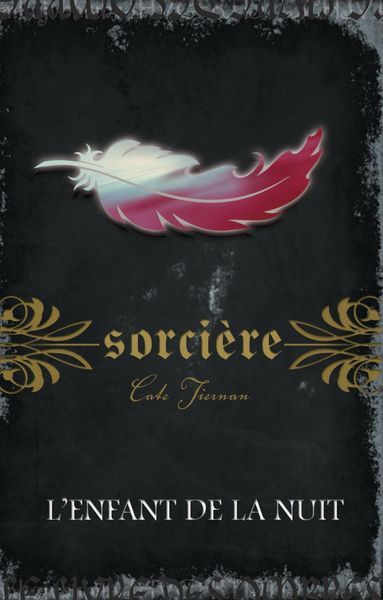 Produktbild: L'enfant de la nuit