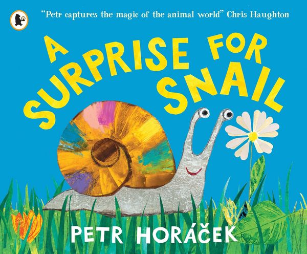 Produktbild: A Surprise for Snail