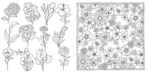 Produktbild: Bl&uuml;tentraum &ndash; Florale Motive ausmalen