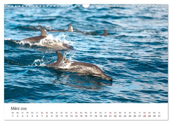 Produktbild: Mosambik - Eine Perle im S&uuml;den Afrikas. (Wandkalender 2026 DIN A3 quer), CALVENDO Monatskalender