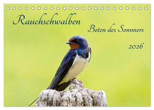 Rauchschwalben - Boten des Sommers (Tischkalender 2026 DIN A5 quer), CALVENDO Monatskalender