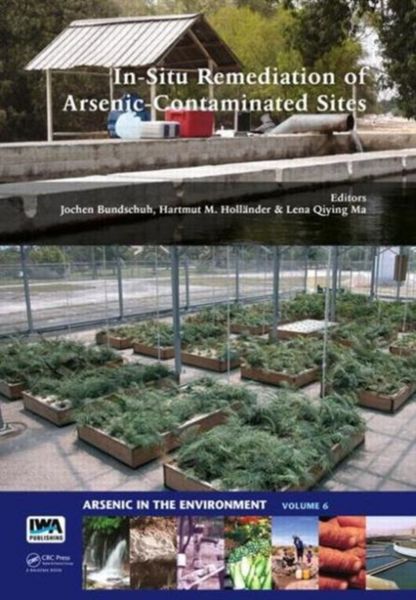 Produktbild: In-Situ Remediation of Arsenic-Contaminated Sites
