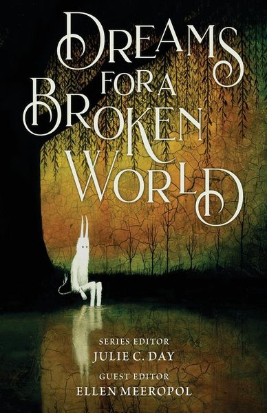 Produktbild: Dreams for a Broken World