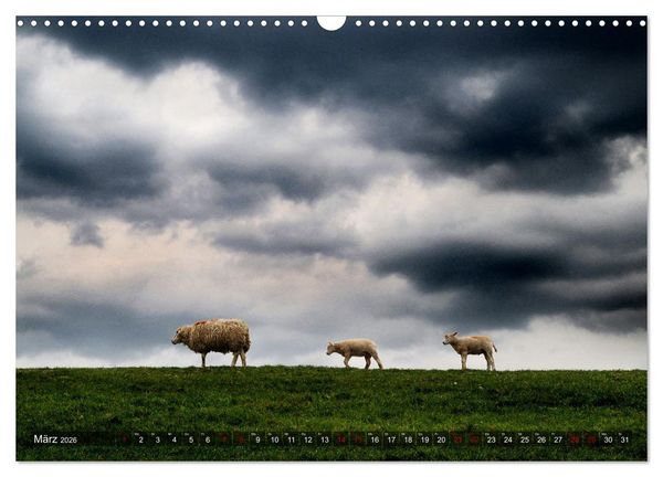 Produktbild: Bis zum Horizont. Der Himmel &uuml;ber Norddeutschland. (Wandkalender 2026 DIN A3 quer), CALVENDO Monatskalender