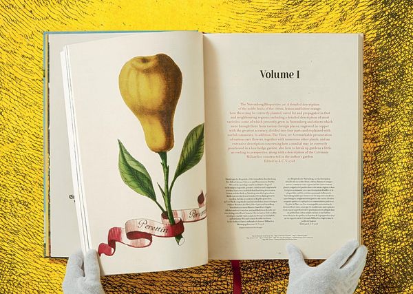 Produktbild: J.C. Volkamer
