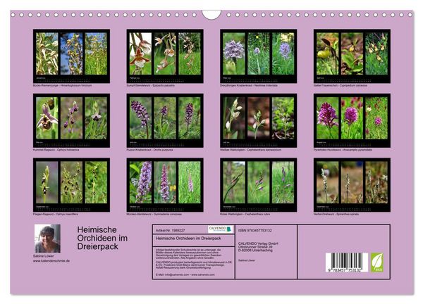 Produktbild: Heimische Orchideen im Dreierpack (Wandkalender 2026 DIN A3 quer), CALVENDO Monatskalender