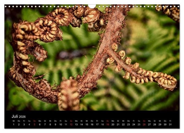 Produktbild: Neuseeland extrem (Wandkalender 2026 DIN A3 quer), CALVENDO Monatskalender