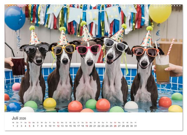 Produktbild: Funny Greyhounds - Windhunde mal anders (Wandkalender 2026 DIN A2 quer), CALVENDO Monatskalender