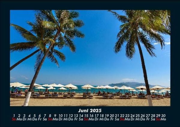 Produktbild: Palmentraum 2025 Fotokalender DIN A5