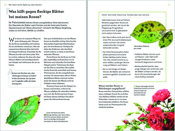 Produktbild: Wer klaut meine &Auml;pfel aus dem Garten