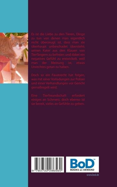 Produktbild: Kater Tommy