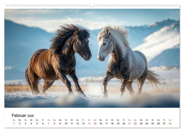 Produktbild: Islandpferde - Freiheit im Blick (hochwertiger Premium Wandkalender 2026 DIN A2 quer), Kunstdruck in Hochglanz