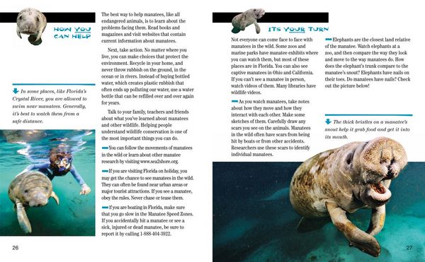 Produktbild: Face to Face with Manatees