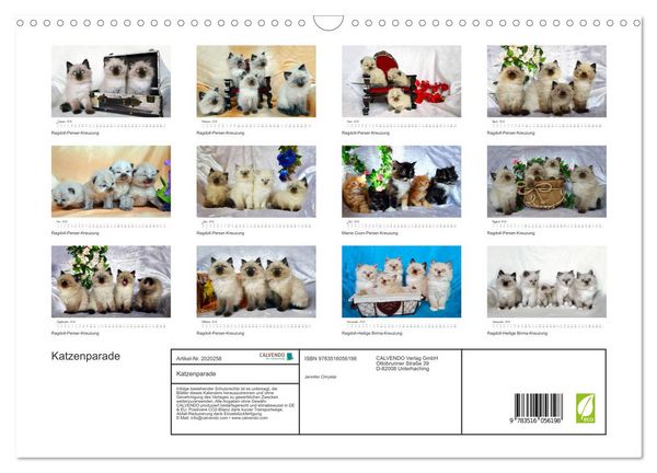 Produktbild: Katzenparade (Wandkalender 2026 DIN A3 quer), CALVENDO Monatskalender