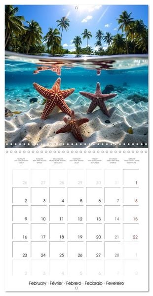Produktbild: Beside tropical beaches (Wall Calendar 2026 12 &times; 12 Inch) CALVENDO 12 Month Wall Calendar