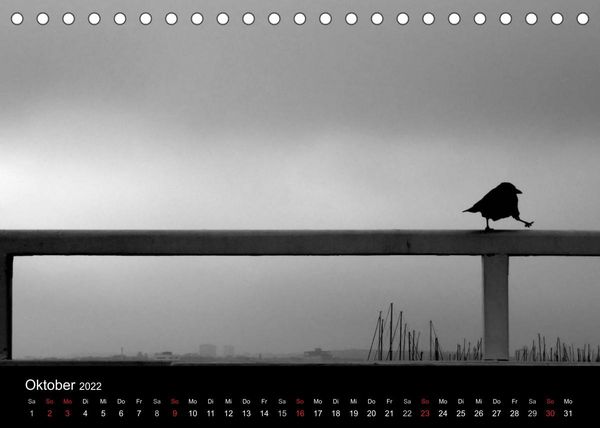 Produktbild: Kieler V&ouml;gel (Tischkalender 2022 DIN A5 quer)