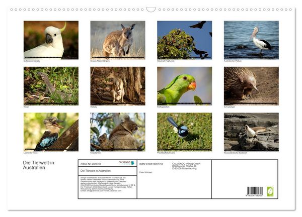 Produktbild: Die Tierwelt in Australien (Wandkalender 2026 DIN A2 quer), CALVENDO Monatskalender