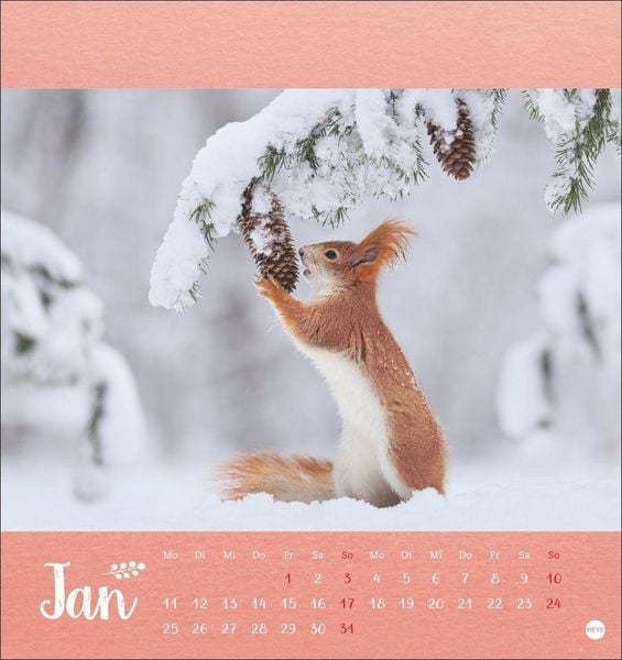 Produktbild: Vadim Trunov: M&auml;rchenhaftes Waldleben Postkartenkalender 2027