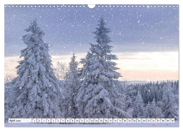Produktbild: Eiszeit. Winter und Frost in der Natur (Wandkalender 2026 DIN A3 quer), CALVENDO Monatskalender