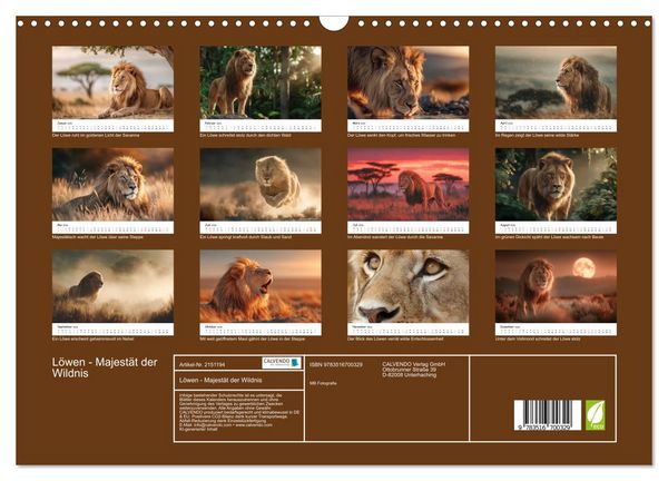 Produktbild: L&ouml;wen - Majest&auml;t der Wildnis (Wandkalender 2026 DIN A3 quer), CALVENDO Monatskalender