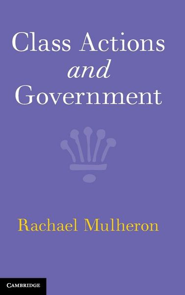 Produktbild: Class Actions and Government