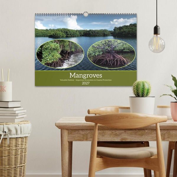 Produktbild: Mangroves - Valuable Habitat (Wall Calendar 2027 DIN A3 landscape), CALVENDO 12 Month Wall Calendar