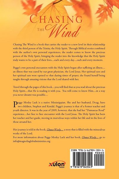Produktbild: Chasing The Wind