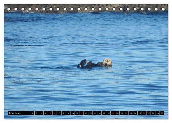 Produktbild: Vancouver - Vancouver Island - Seattle (Tischkalender 2026 DIN A5 quer), CALVENDO Monatskalender
