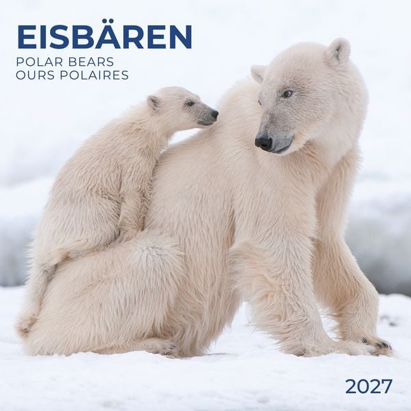 Produktbild: Eisb&auml;ren / Polar Bears 2027
